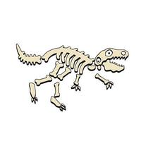 Dinosaur skeleton. Bones of a lizard. vector