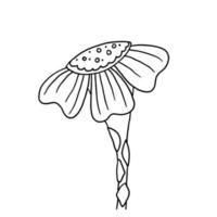 Flower in hand drawn doodle style. Floral sketch isolated on white background. vector