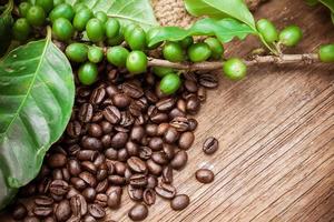 Fresh coffee beans on canvas texture background photo