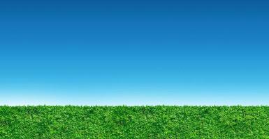 campo de hierba y fondo de cielo azul foto