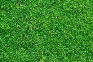 fondo de textura de hierba verde foto
