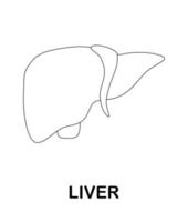 Coloring page with Liver for kids vector