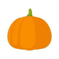 Pumpkin isolated on white background vector