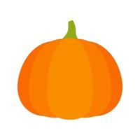 Pumpkin isolated on white background vector