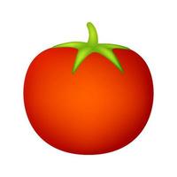 tomate aislado sobre fondo blanco vector