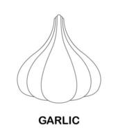 Coloring page with Garlic for kids vector