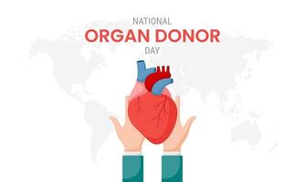 National organ donor day with Human Heart vector