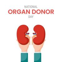 National organ donor day with Kidneys vector