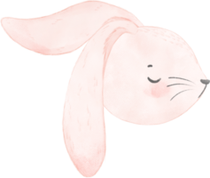 cute watercolor rabbit bunny face head cartoon animal png