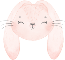 cute watercolor rabbit bunny face head cartoon animal png