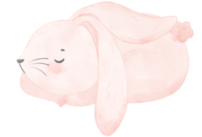 cute watercolor pink baby rabbit bunny cartoon animal hand painting png