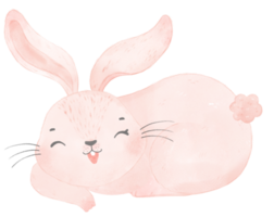 cute watercolor pink baby rabbit bunny cartoon animal hand painting png
