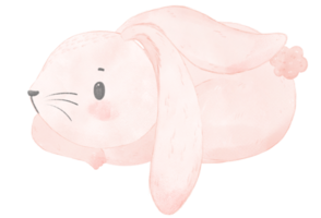 pittura a mano animale del fumetto del coniglietto del coniglio del bambino rosa dell'acquerello sveglio png