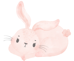 cute watercolor pink baby rabbit bunny cartoon animal hand painting png