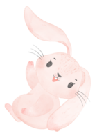 cute watercolor pink baby rabbit bunny cartoon animal hand painting png