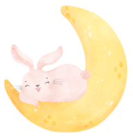 mignon bébé lapin sur l'aquarelle du croissant de lune png