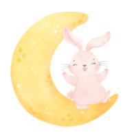 cute baby bunny rabbit on the crescent moon watercolor png