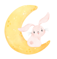 cute baby bunny rabbit on the crescent moon watercolor png