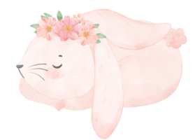 cute sweet princess baby pink bunny rabbit with floral crown watercolor png