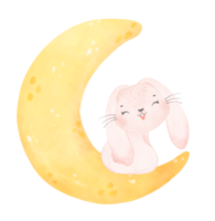 cute baby bunny rabbit on the crescent moon watercolor png