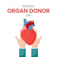 National organ donor day with Human Heart vector