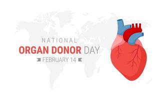 National organ donor day with Human Heart vector