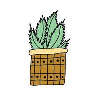 Colored doodle drawing of a plant in a pot vector