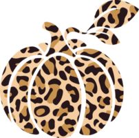 Leopard Pumpkin , autumn , fall png