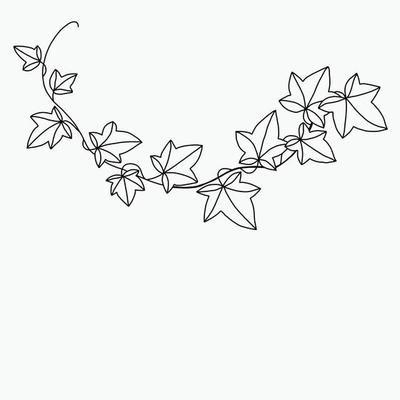 Simplicity ivy freehand drawing flat design.