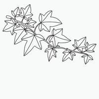 Simplicity ivy freehand drawing flat design. vector