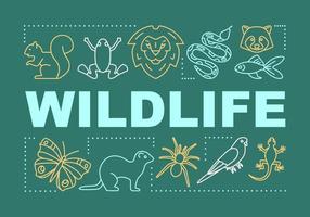 banner de conceptos de palabras de vida silvestre. experiencia de viaje observación de animales salvajes. viaje a la jungla presentación, sitio web. idea de tipografía de letras aisladas con iconos lineales. ilustración de contorno vectorial vector