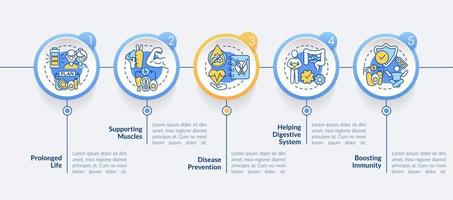 Plantilla de infografía de círculo de ventajas de dieta. visualización de datos de nutrición saludable con 5 pasos. gráfico de información de la línea de tiempo del proceso. diseño de flujo de trabajo con iconos de línea. vector