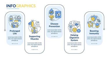 Plantilla de infografía de rectángulo de ventajas de dieta. visualización de datos de nutrición saludable con 5 pasos. gráfico de información de la línea de tiempo del proceso. diseño de flujo de trabajo con iconos de línea. vector