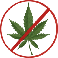 Cannabis or Marijuana Leaf png
