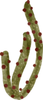 océano acuarela coral png