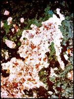 Colorful rocks close up mines background high quality big size prints photo