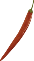 Red Hot Chilly Pepper png