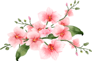 bouquet di fiori di orchidea rosa acquerello png