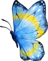 ilustração em aquarela de borboleta