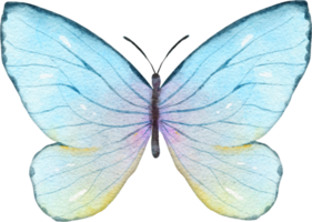 mariposa acuarela ilustración png