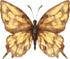 mariposa acuarela ilustración png