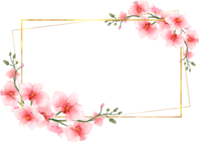 rosa blommor akvarell med geometrisk guldram png