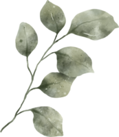aquarelle de feuilles de verdure
