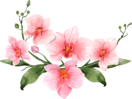 ramo de flores de orquídea rosa acuarela png