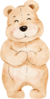 lindo oso de peluche acuarela png