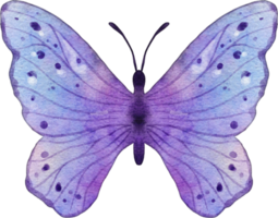 illustration aquarelle papillon png