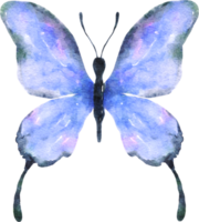 mariposa acuarela ilustración png