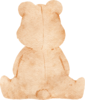 acquerello carino orsacchiotto png