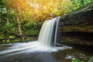 Waterfall river stream green tropical forest nature plant tree jungle photo