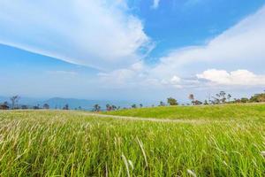 Landscape green grass meadow on slope hill mountain background photo
